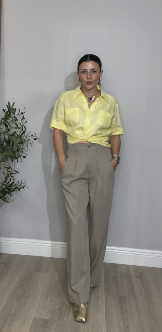 Sandstone High-Waist Pleated Wide-Leg Trousers - 33761