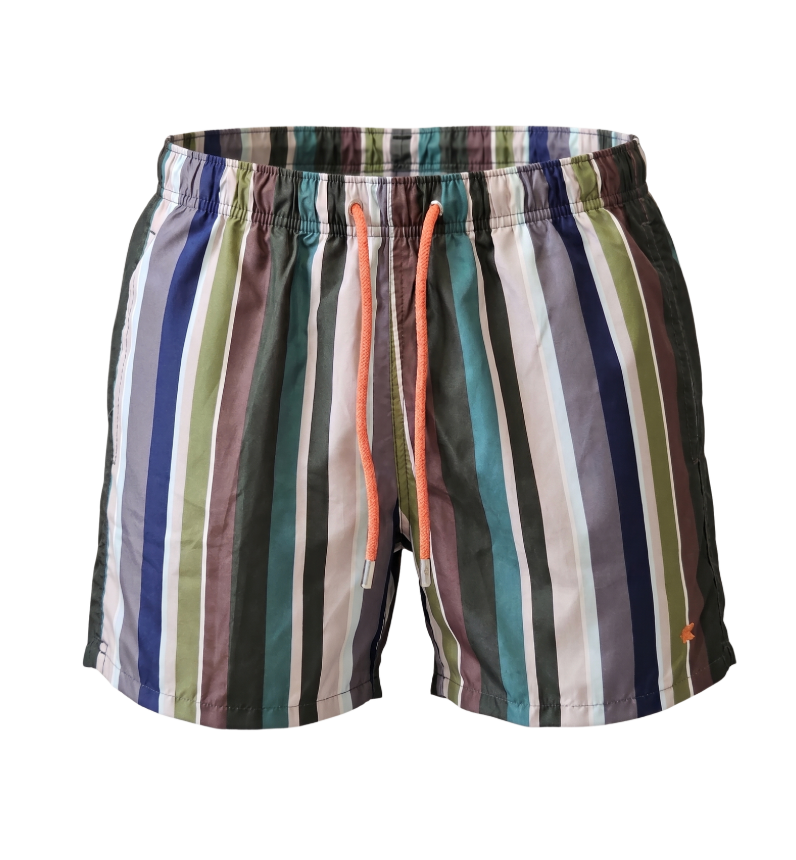 Vibrant Striped Swim Shorts - 33077