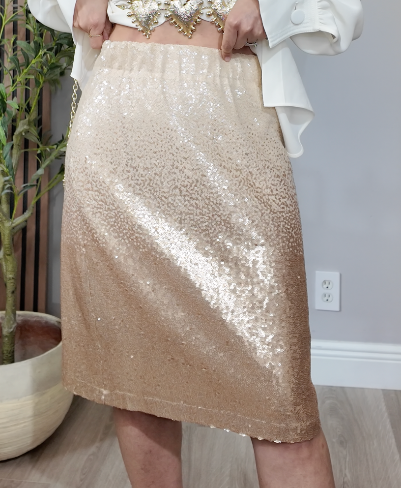 Sparkle and Shine Ombré Sequin Skirt - 34254