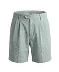 Sage Green Seersucker Striped Pleated Shorts - 31467