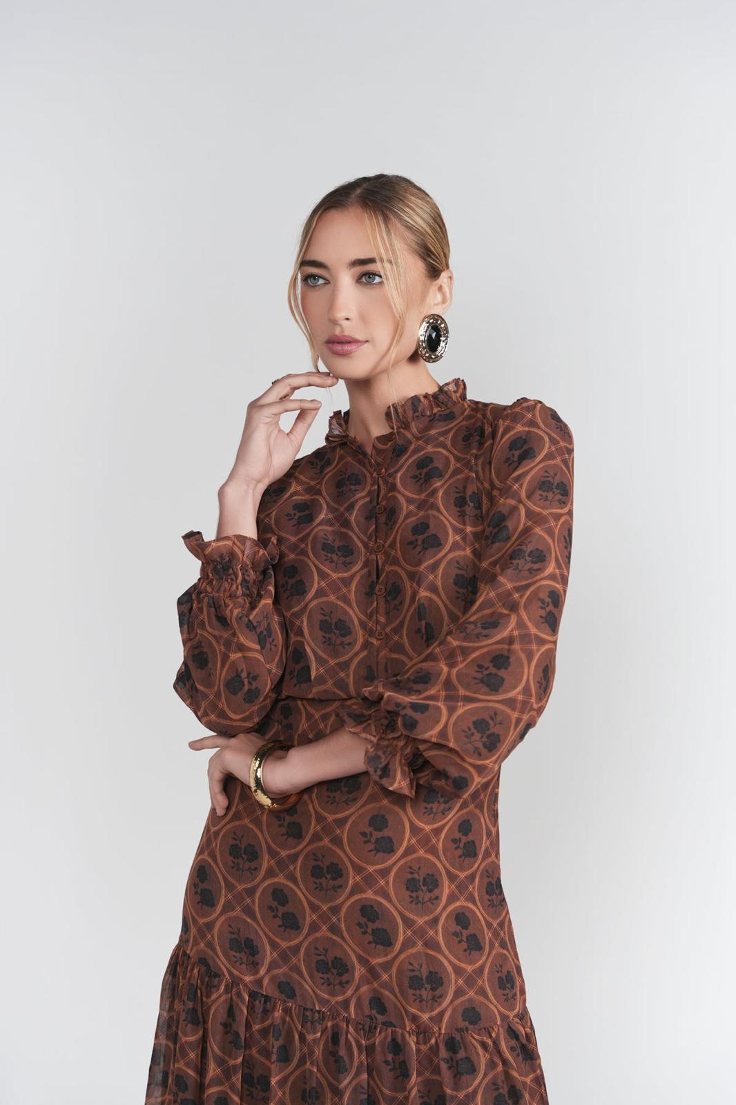 Adina Las Vegas Brown Printed Long-Sleeve Maxi Dress - 33242