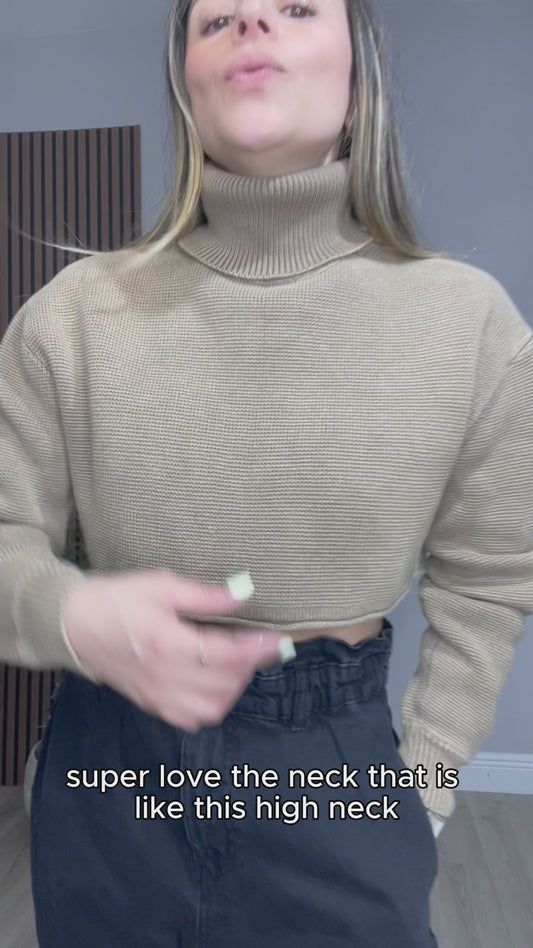 Camel Cropped Turtleneck Sweater - 33622